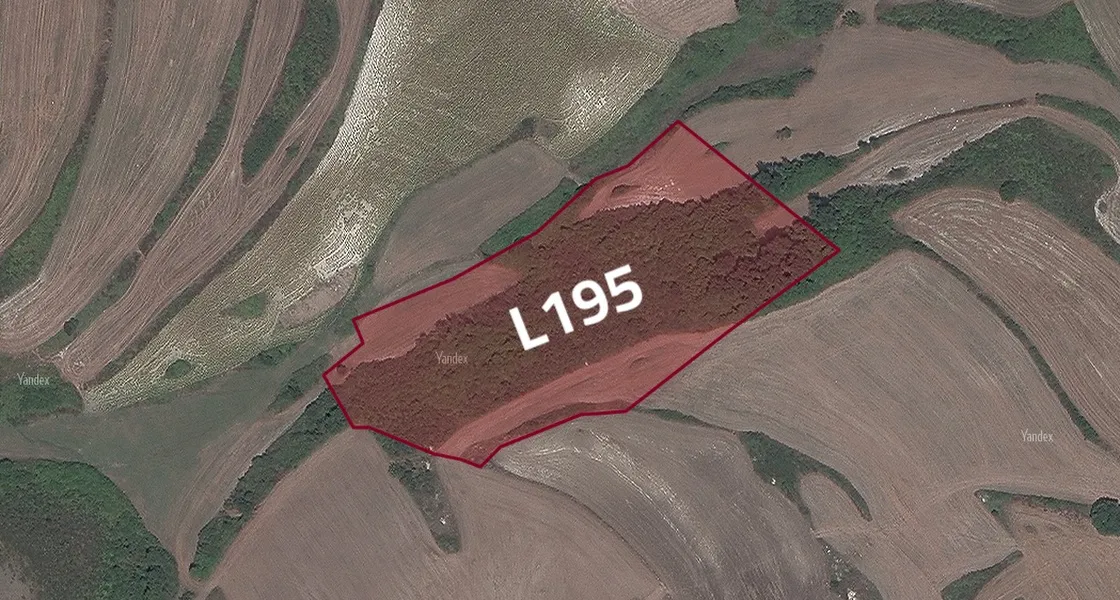 L195 Arnavtköy Arazisi