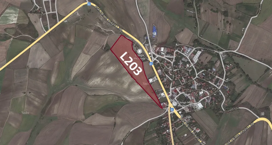 L203 Arnavtkoy Land